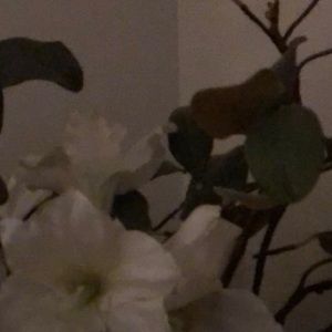 Meet your Posher, Lynn